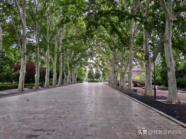 邯郸丛台公园最大的亮点就是里面的一座造型奇特的城堡