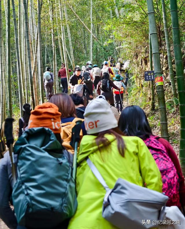 莫干山的秋色是美丽的但千想万想没想到人生第一次拉胯徒步竟在此