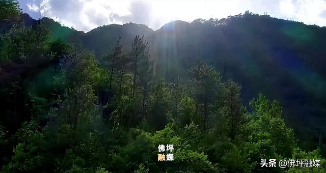“全域课堂”带动佛坪研学热