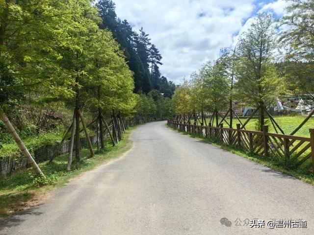 这个凭借21℃的天然清凉悄然“出圈”的森林小镇,别具异域风情!