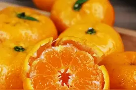 2025年6月柑橘品种与价格，这6款柑橘在你们市场多少钱？图片