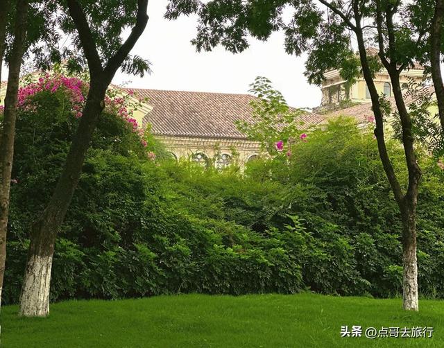 成都市内超级大草坪，美得让人惊叹，是摄影者的天堂，公交车直达