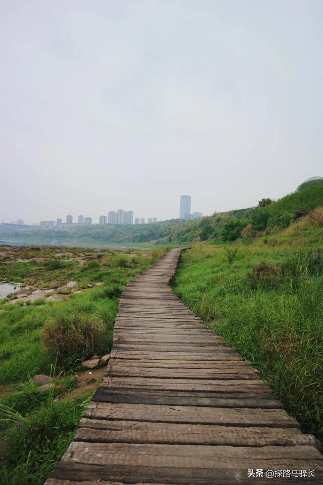 重庆自己的海岸线徒步，礼嘉-悦来，老少皆宜，公交直达（攻略）