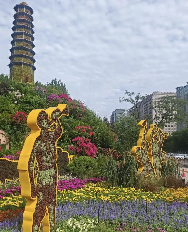 花坛见证：和平与记忆在大地上绽放