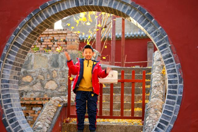 泰山普照寺，那最后的一树金黄