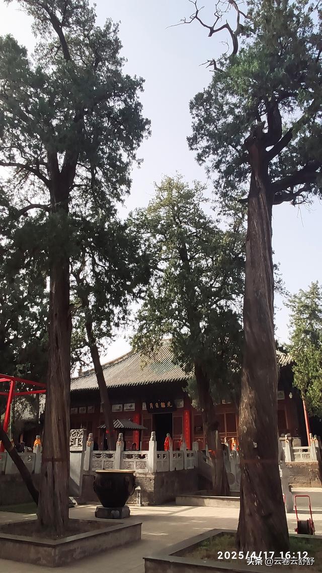 孔林关林松，揖向轩辕柏