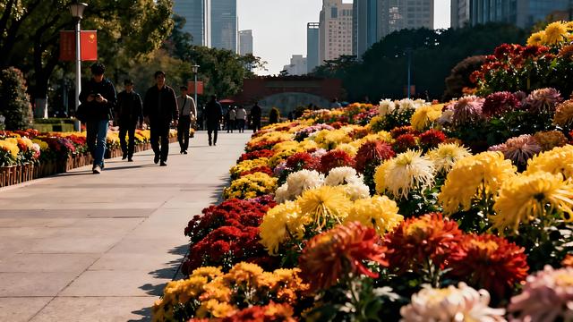 嵩岳丹枫燃暮色，汴梁金蕊醉商都 —— 郑州清秋纪行笺