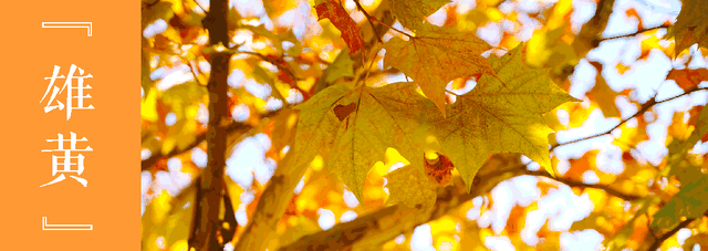 周末去打卡丨来吴江，“捡秋”！