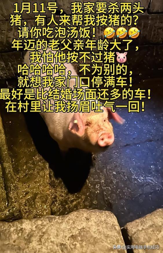 合川刨猪汤火到央视！人民日报点名，恶心事发生，呆呆网名恐难保