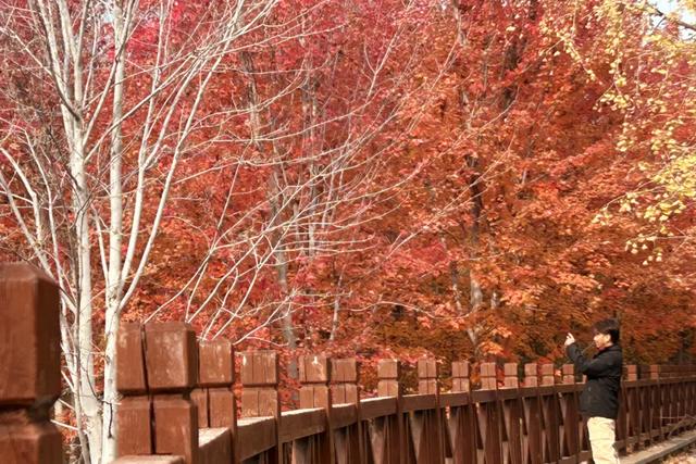 发现丰台之美 | 诗意北宫,醉美金秋