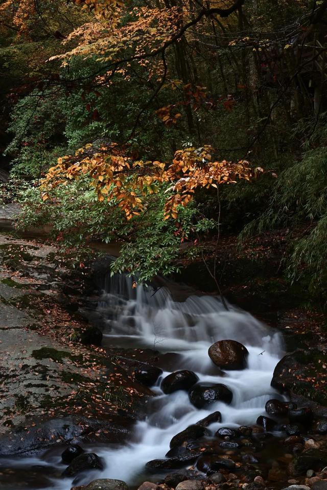 这里为何让摄影人着迷?去了才知道别有洞天
