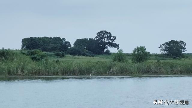南京降温！卧龙湖、荷花与高楼，藏着秋日限定浪漫