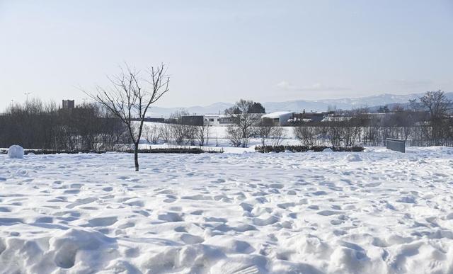 十月初六决定冬季命运？ 气象局回应：今年冬天偏暖但需警惕这一点