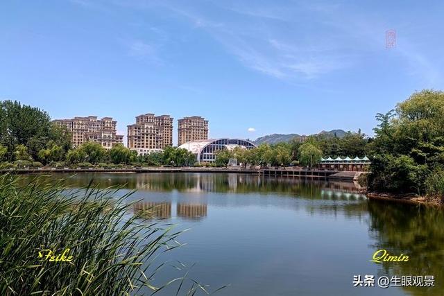 影记 | 青岛李沧文化公园掠影