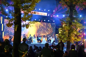 就在今晚，新都区首届“银杏林音乐节”来啦！图片