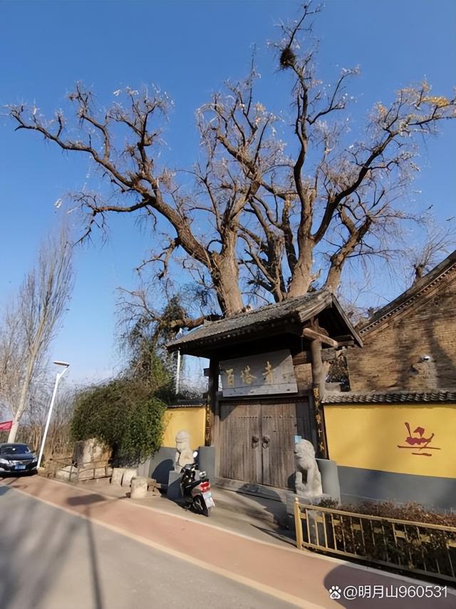 藏在秦岭天子峪里的低调古刹，1700年银杏为伴无商业化知道在哪吗