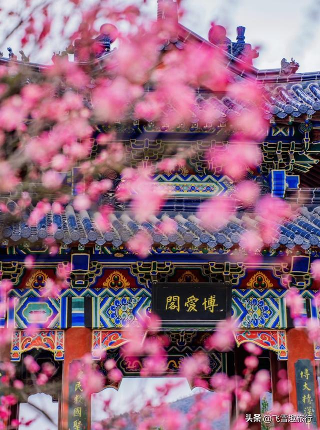 春暖花开，正是赏花好时节，这份三月赏花路线图请收好