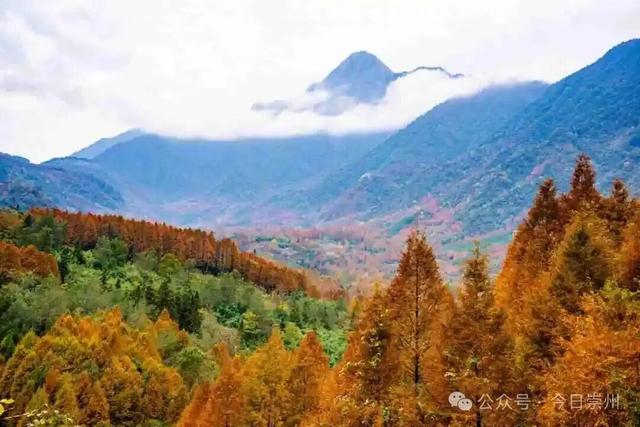 漫山彩林，琉璃坝的色彩美学