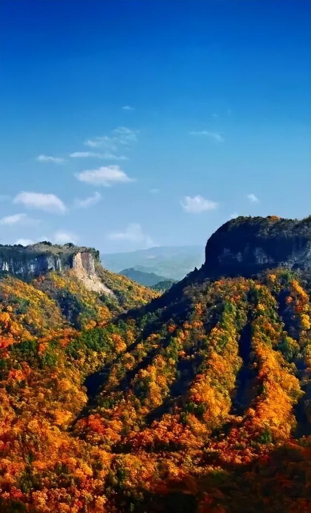 成都出发2.5h刹拢最绝红叶之城！秋色媲美九寨，一城吃够三省美食！更有山林温泉泡过瘾！