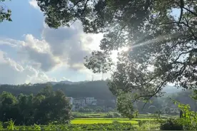 婆婆让小姑子要到我家坐月子，还让我们每月给他2000元钱……图片