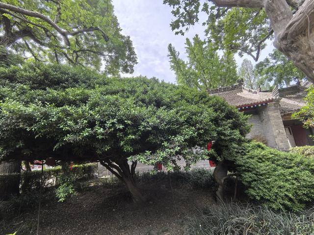 重阳宫