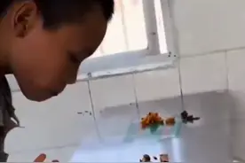 正餐奉母男孩后续：家中堆满爱心物资 吃不完怕浪费 希望不要再捐赠图片