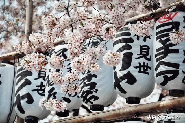 国外旅行，你会去哪一个国家？反正日本是不会考虑的，泰国还可以