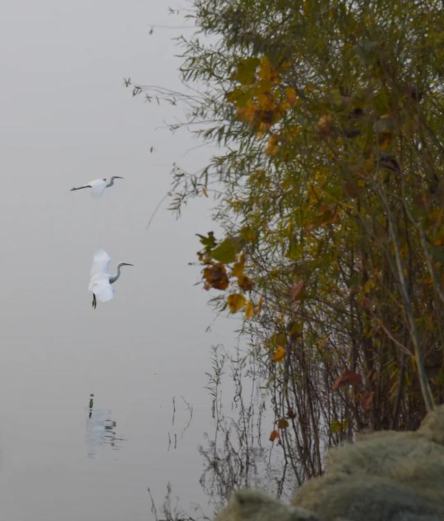 @明光人，来女山湖罗咀，当一天“闲云野鹤”