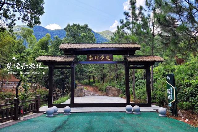 浙江宁波被人忽略景区村庄，岙里风景堪称绿野仙踪，非常值得游玩