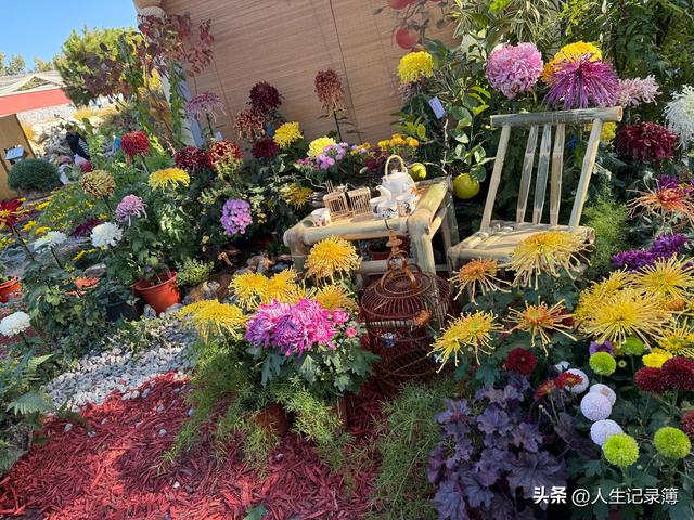 周一陪小姑子去北海公园看菊展