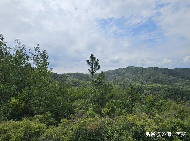 我喜欢大山的连绵，我喜欢大山的幽深，我喜欢大山的凉爽，您呢？