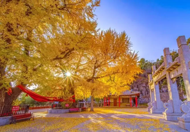 临沂人游临沂 | 一大波景区优惠福利来了