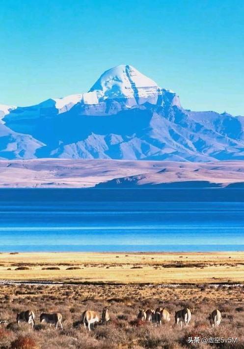 一次走完西藏全景！所有圣景全打卡，看完不踩坑