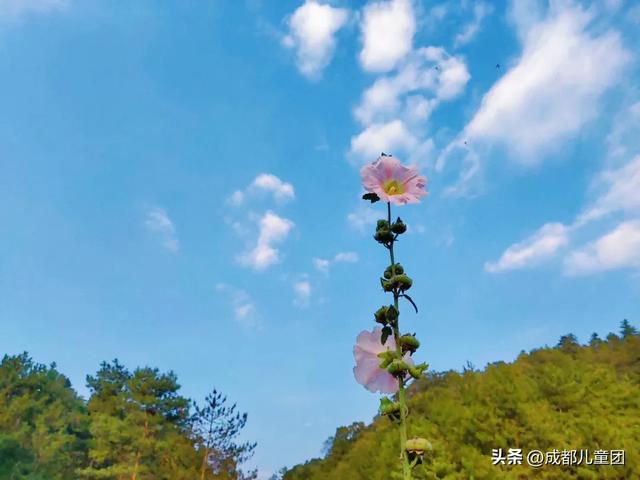 纪念武则天的“女儿节”听过没？成都出发1.5h，广元所有景区女生免票！