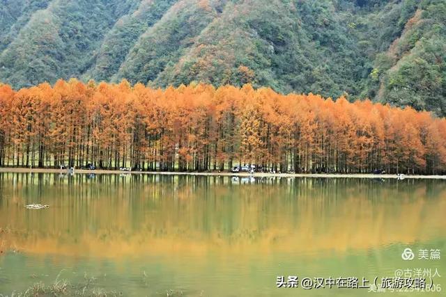 龙池秋色惹人醉