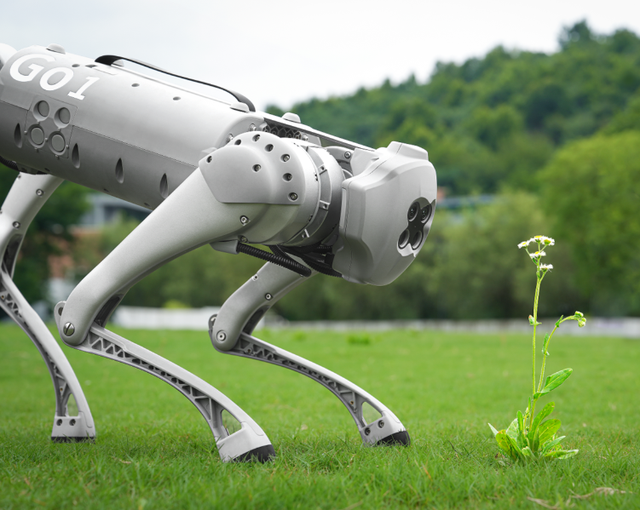 从AI砍价到四足机器人，杭州洗牌硅谷的底气到底在哪？