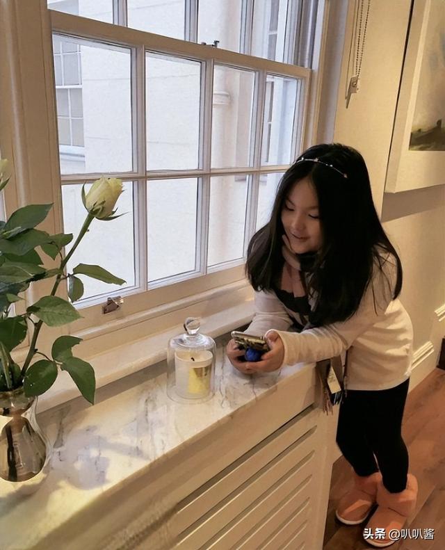 李湘参与缅北诈骗？王诗龄休学？王岳伦崩溃回应，结果大快人心