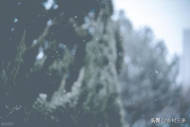 今日二九，老话说：“最怕二九一日晴”，二九晴天有啥预兆？