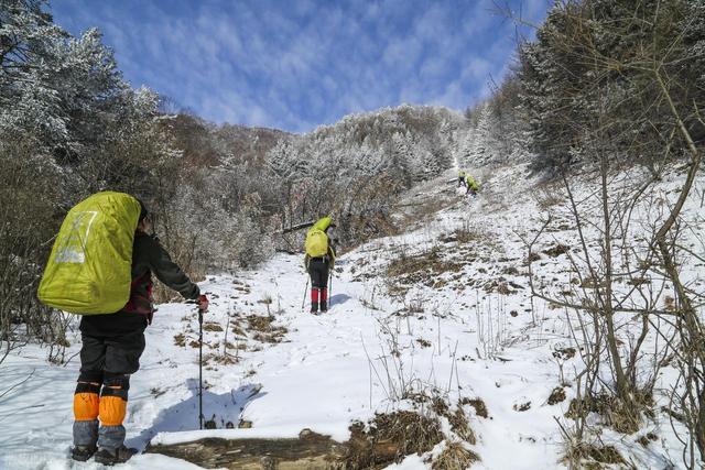 8年禁令鳌太线为何越禁越火？3.5亿爱好者疯抢的“强驴毕业礼”！