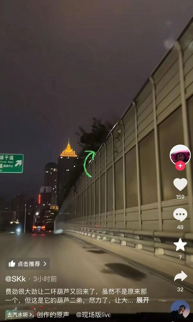 男子手欠摘沈阳二环葫芦：真心道歉，婚礼已取消，扣9分罚200元 。后续来了，葫芦二弟出现，已成为精神寄托！