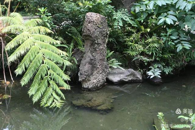 宝岛台湾:士林官邸公园