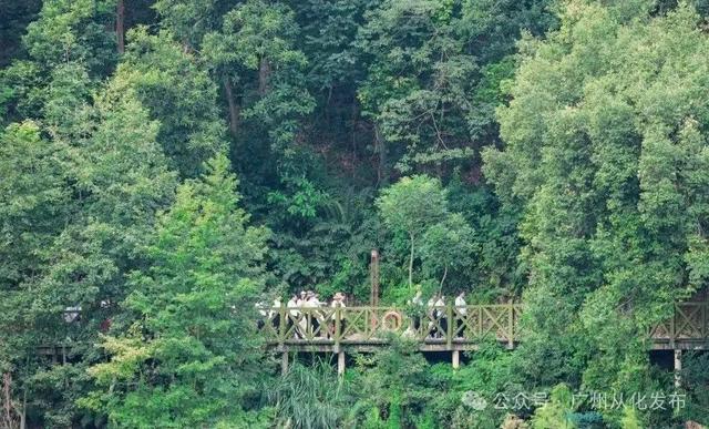 激情全运季,冬日红柿四大天王火爆出圈,爆汁甜满喜“柿”连连~