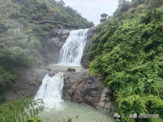 温州这个免门票的小众隐世宝地你可去过？