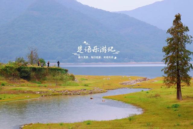 宁波这个新“阿泰勒”火了，游客络绎不绝，每人看了都会惊叹一声