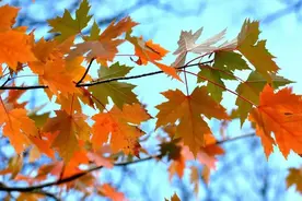 当你霉运缠身时只要做到这四件事，改写命运非难事图片