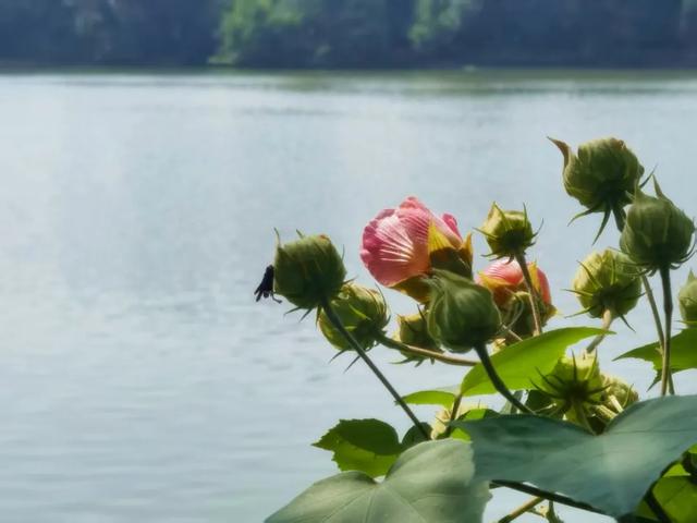 霜染秋深，向暖而行