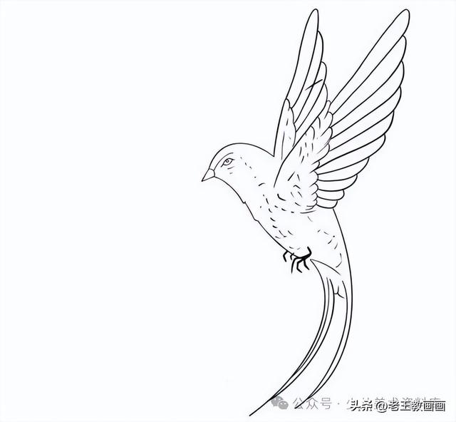 燕子的简笔画线稿图，给孩子收藏
