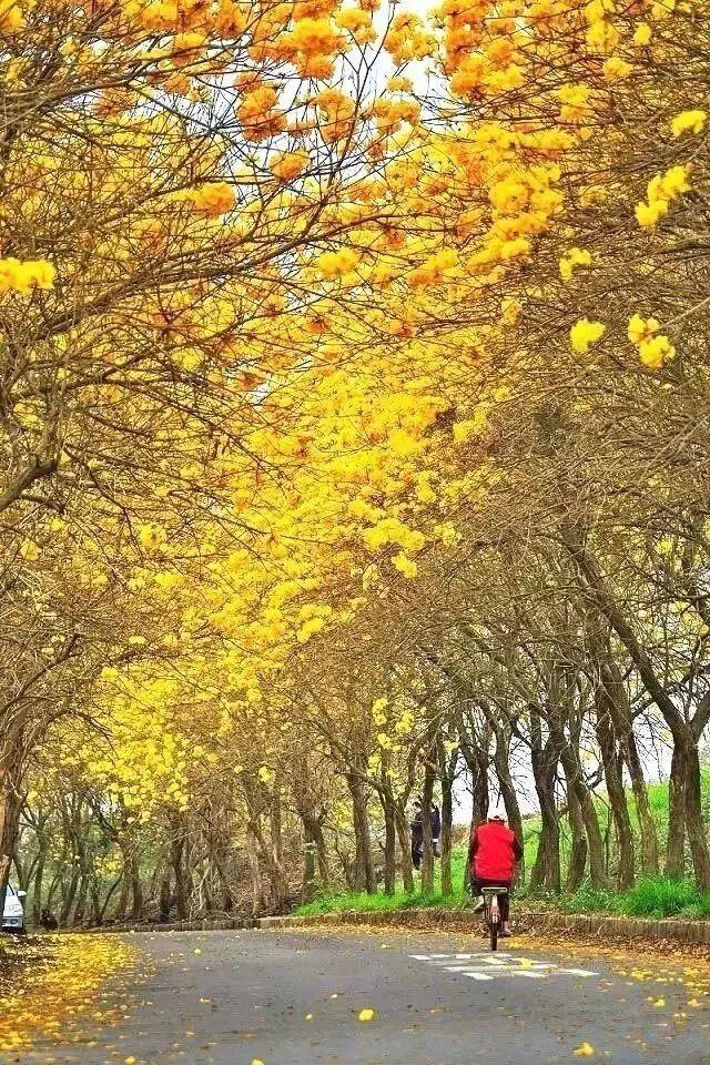 你的第一次旅行去了哪？这些地方藏着最暖的回忆