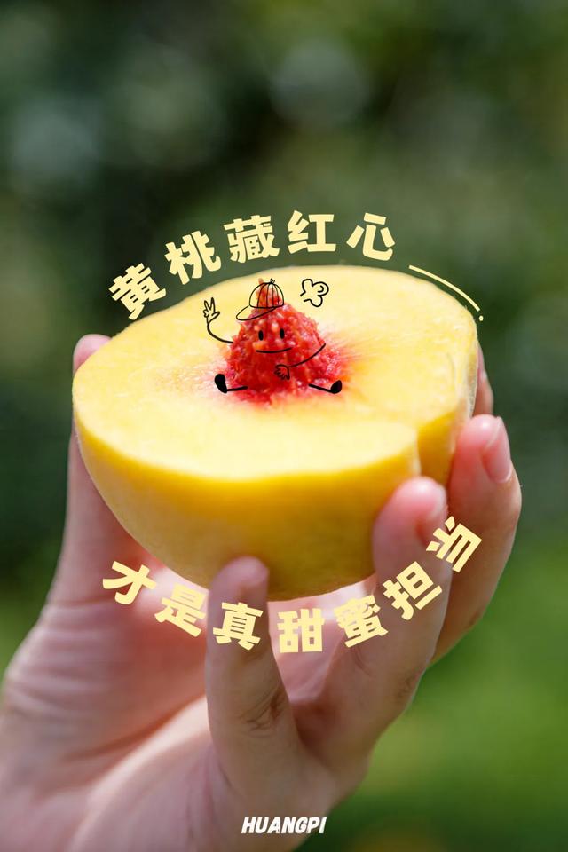 不在新疆!吐鲁番分番在姚集