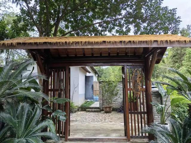 临安最香的桂花，在大梁山上